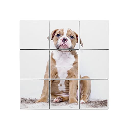 Carreaux Céramique Décoratif Chiot Bouledogue pour Sublimer la Déco de votre Salon