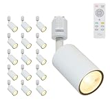 Allegro Lighting スポットライト ダクトレール照明 調光調色 リモコン付き 100W相当 ダクトレール用 ライティングレール 照明 LED一体型 高演色Ra90 昼白色 電球色 節電モード メモリー機能 グループ制御 タイマー 常夜灯 工具不要 おしゃれ