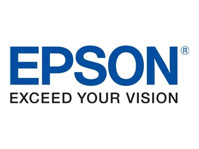 Epson Original 29 Tinte Erdbeere, XP-235 XP-332 XP-335 XP-432 XP-435 XP-245 XP-342 XP-345 XP-442 XP-445 XP-247 XP-257 XP-255 XP-352 XP-355 XP-452 XP-455, (Multipack 4-farbig) - Image 4