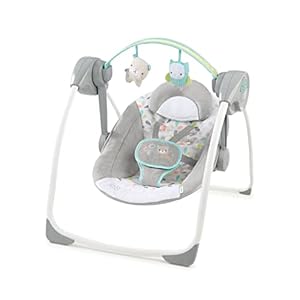 Ingenuity Comfort 2 Go Portable Swing – Fanciful Forest