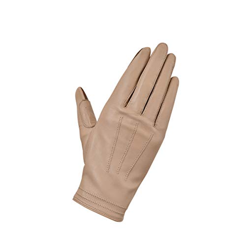 b\X^C{/Rosso I[V[YU[O[u fB[X/v/^b`pl i` MTCY RSG-313