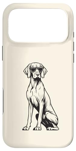 �ʔ����n���K���[�l�r�Y�����T���O���X�t�� �X�}�z�P�[�X iPhone 17 Pro Max �p