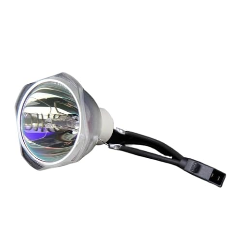 Ampoule de projecteur V13H010L79 pour modèles BrightLink Pro 1431Wi, 1420Wi et 1430Wi