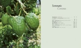 Calabria in Cucina: The Flavours of Calabria - Image 2