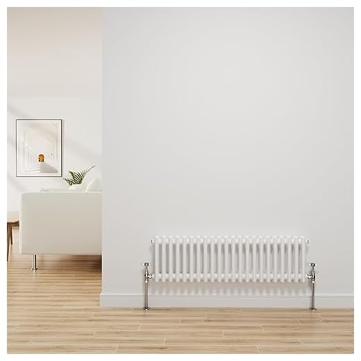 NRG Radiador tradicional blanco brillante de hierro fundido de 2 columnas de calefacción central horizontal radiador de baño 300 x 1010 mm