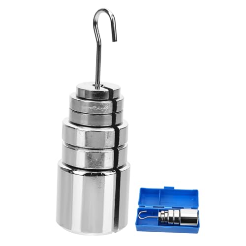 CANIGHT Precision Classroom Tool Metal Slotted Mass Weights Slotted Mass Hanger for School Labs