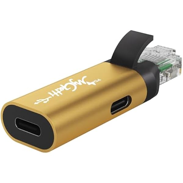Adapter USB C na Ethernet z interfejsem PD 100 W, gniazdo typu C na wtyczkę RJ45, 1 Gbit/s, ładowanie i surfowanie 2 w 1, przenośny konwerter, zintegrowany inteligentny chip, kompatybilny z