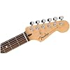 Fender Standard Stratocaster HSS Electric Guitar - Black
