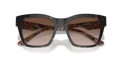 Dolce & Gabbana Sunglasses DG 4384 321773 Havana On White Barrow Brown G3