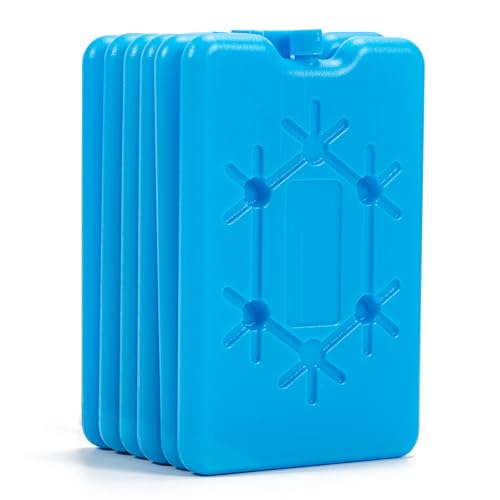 6er Set Kühlakkus, Kühlakkus für Kühlbox oder Kühltasche Klein, 200 ml Ultradünn Kühlakku Groß für Kühltragetasche, 12h Lange Kühlung Flache Kühlelemente Eisbeutel zum Kühlen, Kompressen Kühlpads