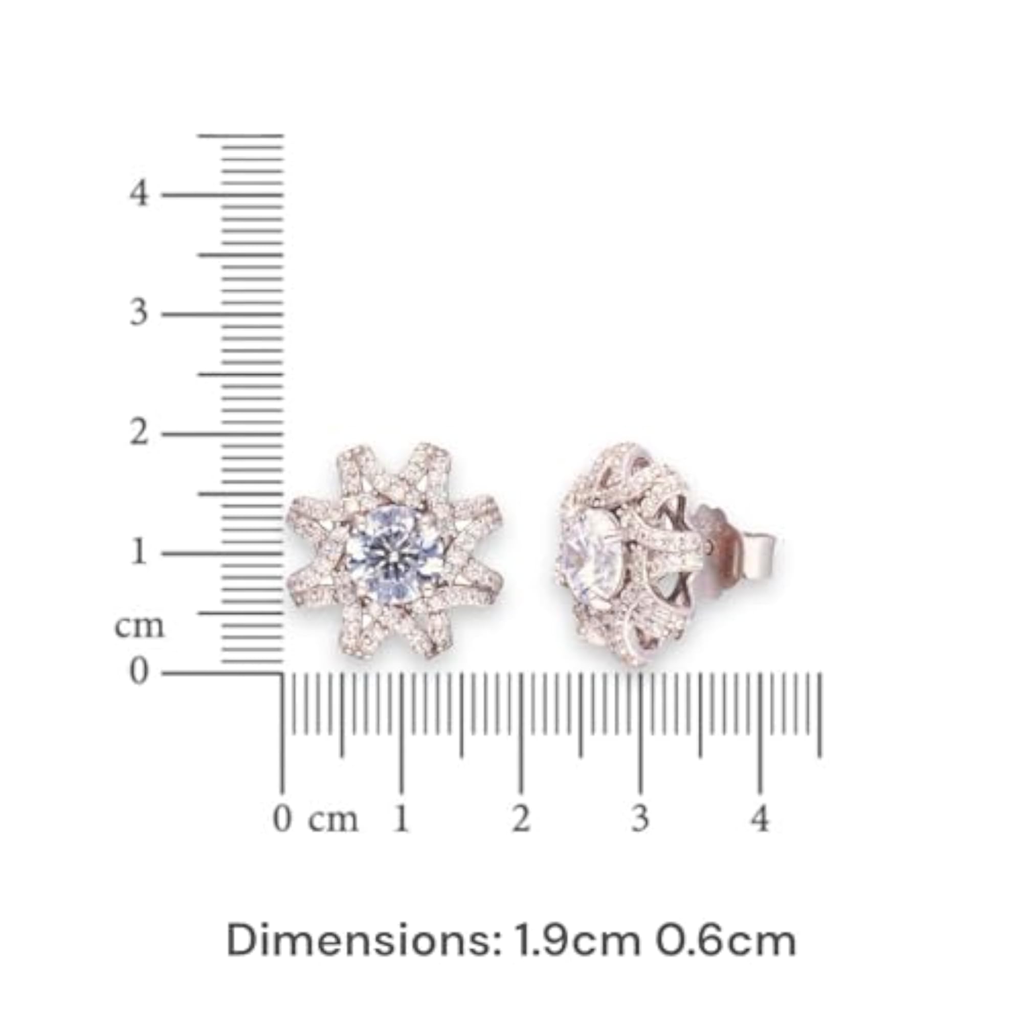 Women's 92.5 Sterling Silver Winged Stardust Studs, 18K Rhodium Plating