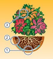 Miniatura 2 de Cesta colgante de fibra de coco formada a mano de 12 pulgadas con retenedor de agua (SB-F30L) - Paquete de 6 forros