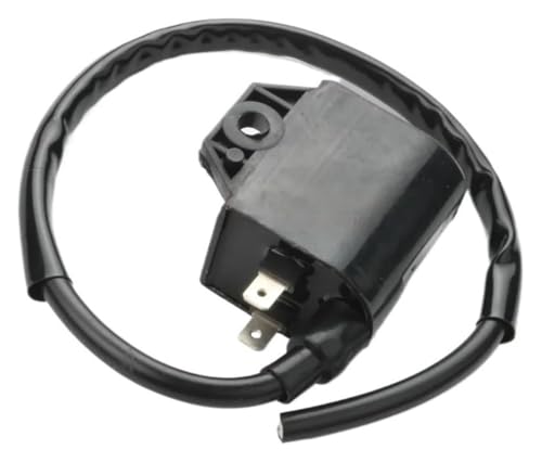 Dispositivo di accensione CDI per moto Che si tratti di spostamenti quotidiani o di viaggi a lunga distanza questo accenditore è la scelta ideale per la tua moto.