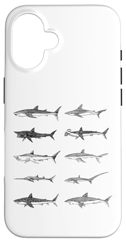 T̃RNV OwK C R A[g X}zP[X iPhone 16 p