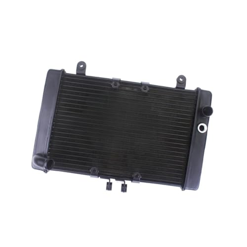 Refroidisseur radiateur moto haut rendement pour CB1000 1995