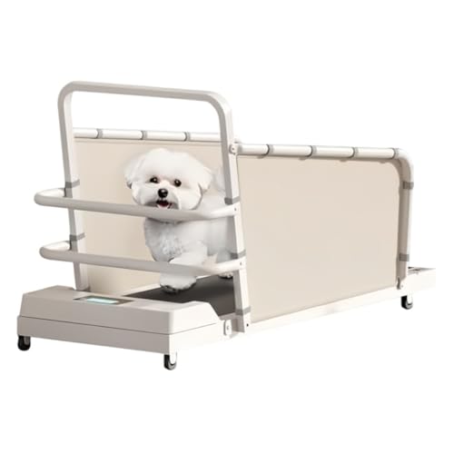 LumingLight犬と猫のトレッドミル、ランニングトレーニング、12段階スピード、LEDディスプレイ、EVA衝撃吸収、最大荷重220ポンド、小型犬と大型犬に最適、散歩用のおもちゃ、家庭用 (A)