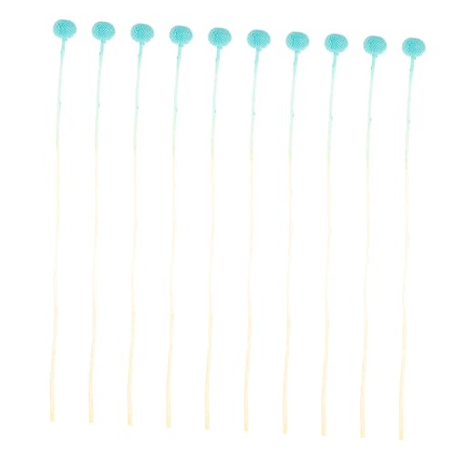 Arreglos Florales Secos Craspedia 10 piezas Azul miniatura 1