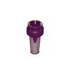SIMMONS 466SB SIMMONS 466SB Dual-Purpose Threaded Foot Valve, 1' x 1/4'