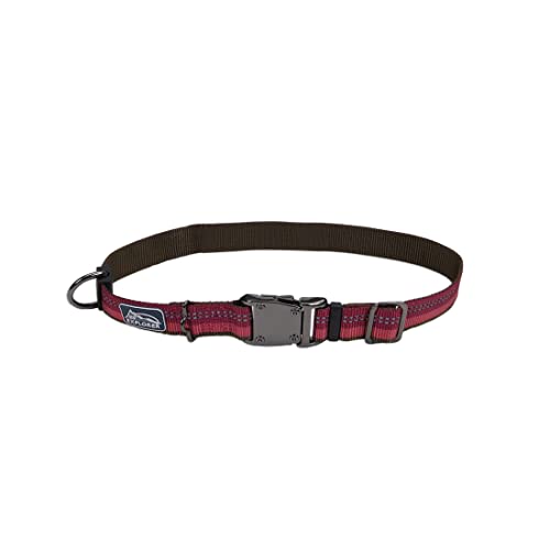 Coastal Pet K9 Explorer Reflective Adjustable Dog Collar - Comfortable Collar for The Outdoors - Durable, Lightweight Collar with Side-Release Buckle - Berry, 1