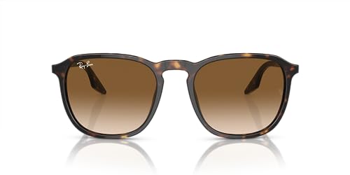 Ray-Ban RB2203F Square Sunglasses