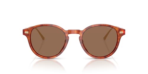 Coach Men's HC8428U Universal Fit Round Sunglasses, Caramel Tortoise/Brown Solid, 50 mm