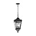 Feiss OL5431BK Cotswold Lane Outdoor Lighting Pendant Lantern, Black, 3-Light (10"W x 22"H) 180watts