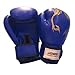 RGXY Guanti da Boxe per Adolescenti Guantoni da Boxe Adulti con gradienti, Adolescenti Junior Kids Guanti da Boxe per Box per punzonatura, Kickboxing, Muay Tailandese,Blu