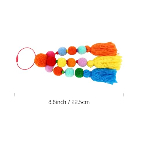 Pom Poms and Tassel Charms Accessories for Bogg Bag and Simply Southern Tote,Colorful Pom Poms and Tassel with Metal Clasp for Rubber Beach Bag2