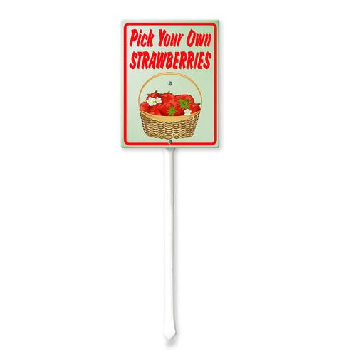Vdenvileye Pick Your Own Strawberries Sign with Stake 11.5x15cm Rustproof Aluminum Lawn Decorations Sign for Outdoor Road Street Garden Decor
