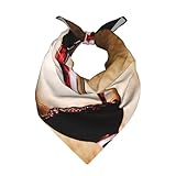 Poadnly Rotweinglas,Bandana-Schal für Damen und Herren – Stilvolle und vielseitige Bandanas für Hals und Kopf