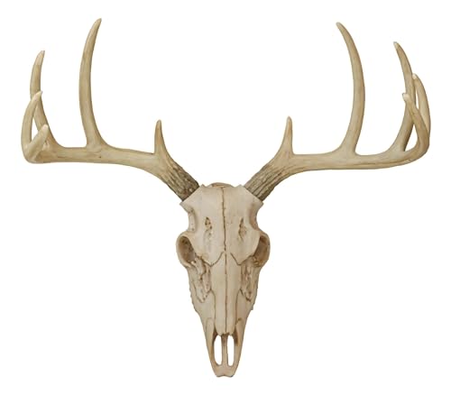 Ebros Gift Rustic Hunter Deer 10 Point Buck Skull Trophy Antlers Wall Mounted Plaque Decor Figurine 14.25' Long Hunter's Antler Rack Theme Deer Buck Hunting Skulls Trophies Hanging Sculpture