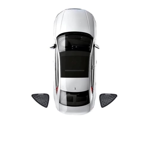 Pare-soleil Tesla Model 3 triangle améliore l'intimité en camping sauvage