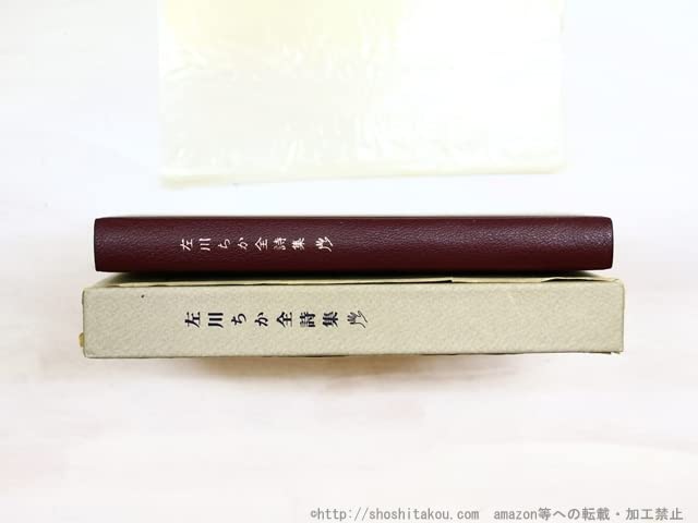 Amazon.co.jp: 左川ちか全詩集/左川ちか/森開社 : おもちゃ