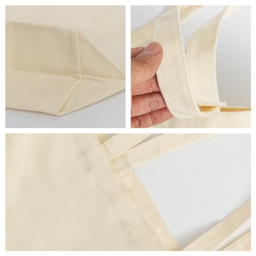 Review de Comprar suculentas los 10 mejores. 38 Imagen adicional