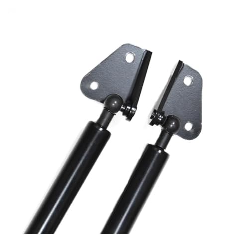 Vérin à gaz pour FR-V Edix en carbone argenté, support de levage robuste - 3
