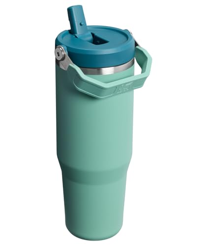 Image of STANLEY IceFlow 2.0 Flip Straw Tumbler with Handle 30 oz | Twist On Lid and Flip Up Straw | Leakproof Water Bottle | Insulated Stainless Steel | BPA-Free | Spring Green
