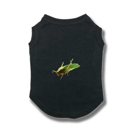 [QINTIW] �� �� ���� ���̕� �ĕ� ������ ���Ȃ� �m�[�X���[�u ������ �t �� �t�� �t�� �ėp �t�@�b�V���� �����^�� XS ���p �m�� ���� ������^�����L�� �ʋC �u���b�N ���₩ ���U�� ���o���� T�V���c �h�b�O�E�F�A