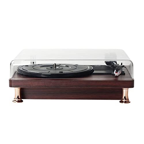 High Fidelity Vinyl Turntable Record Player with Audio Technica AT95E Cartridge Speed Control Motor Solid Wood Plinth… - Les Beatles, Paul McCartney, John Lennon, RIngo Starr, George Harrison High Fidelity Vinyl Turntable Record Player with Audio Technica AT95E Cartridge Speed Control Motor Solid Wood Plinth… – Image 7