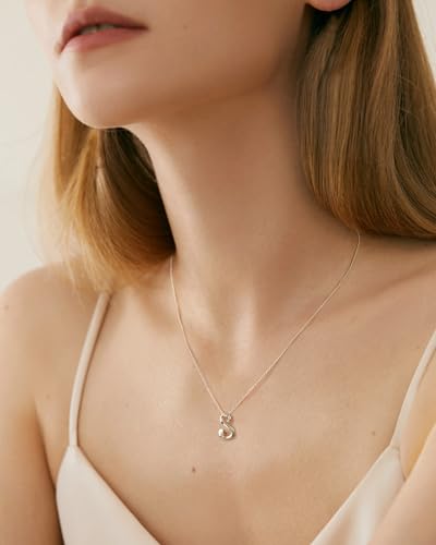 Mesovor Silver Initial Necklace for Women, Sterling Silver Plated Jewelry | Classic Letter Name Pendant Necklace with Rose Gold Heart, Gifts for family Mother Sister Wife, 20 Inch Chain - Image 6