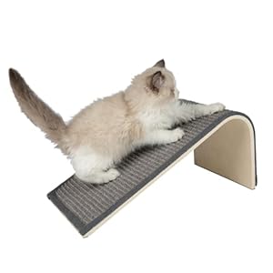 Best Pet Supplies Catify Cat Scratcher, Fun Interactive Scratchers, Posts, Poles, Claw Safe, Furniture Saver Indoor Play Support Natural Cat Behaviors Heavy Duty – Ramp (Gray)