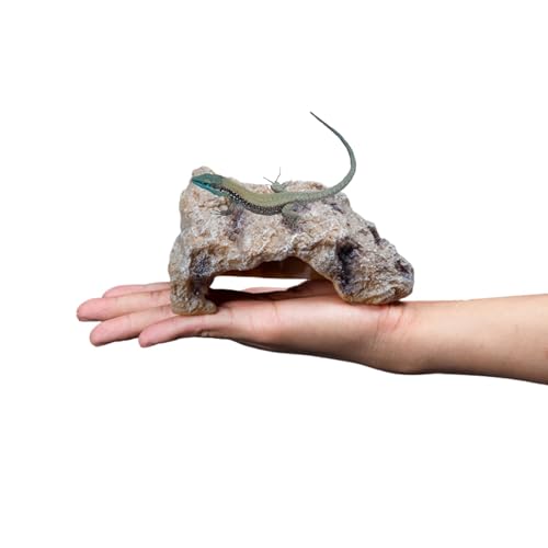 Archnote 爬虫類 レオパ シェルター トカゲ カナヘビ 亀 ロックシェルター 爬虫類シェルター 岩 隠れ家 S