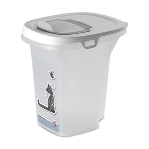 Moderna Trendy Story Kleine Katzen verliebt