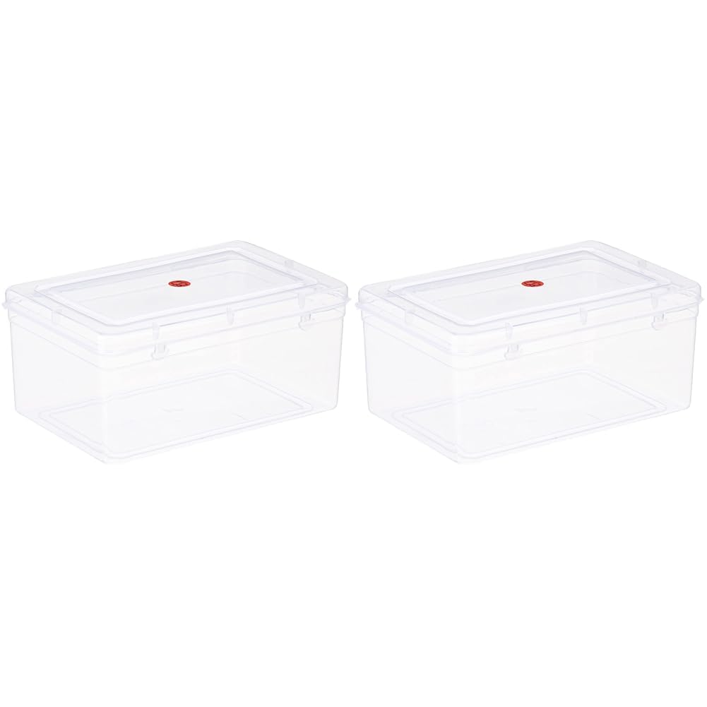 Nakoda 777 Xylo Plastic Container for Home Storage,Color May vary - 4100 ml, (25.6 x 17.7 x 11.5) cm (Pack of 2)