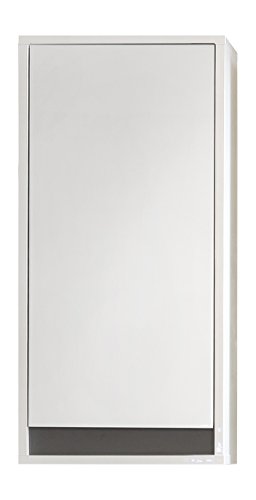 trendteam smart living - Sol - Wandschrank - Weiß Hochglanz - Hängeschrank mit 1 Tür und 1 Einlegeboden - (BxHxT) 35 x 73 x 23 cm - Moderner Stil