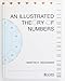 An Illustrated Theory of Numbers