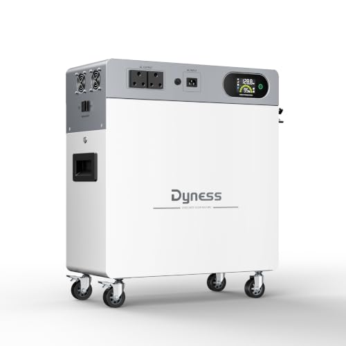 Dyness 2400W Speicher für Balkonkraftwerk, 4800Wh LiFePO4 Batterie, Reine Sinuswelle 230V, <20ms USV, 2 BMS, 2 AC-Outlets, Tragbare Powerstation für Outdoor-Camping/Wohnmobil/Garten/Notfall