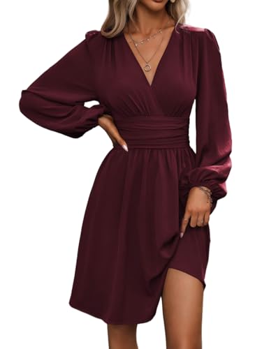 LIAMERHE Damen Elegant Kleid Langarm V-Ausschnitt Casual Kleider A-Linie Winterkleider Blumenmuster Minikleid Freizeitkleider Herbst Winter...