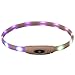 TRIXIE Trixie Flash Leuchtring USB Multicolor Tierhalsband, Silikon/Kunststoff, Mehrfarbig, XS-XL, 65cm / 16mm, Leuchtfunktion mit mehreren Modi, lange Akkulaufzeit, spritzwassergeschützt