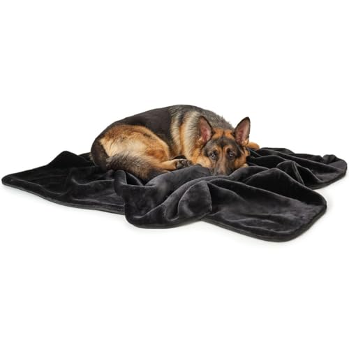 HUNTER Konstanz Hundedecke, Plüschdecke, edel, samt-weich, 100 x 70 cm, schwarz