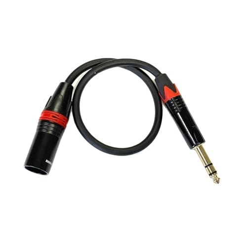 Rannsgeer 1/4 Inch TRS to XLR Male Cable R7Axx (1 Ft 1 Pack)